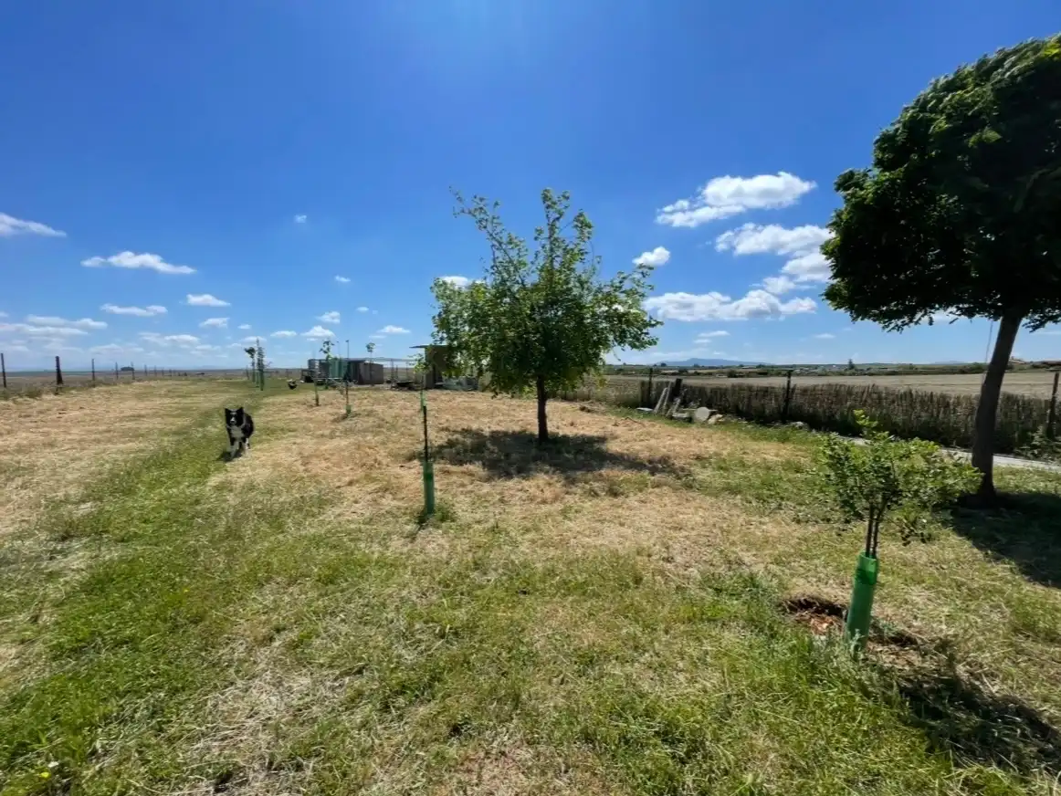 Grundstücke zum Verkauf in Cáceres