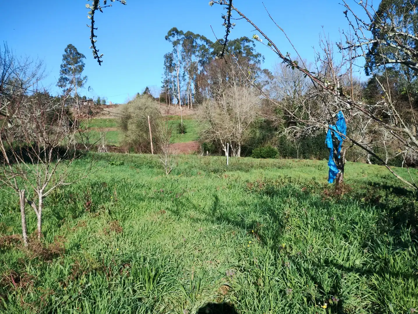 Maison avec jardin à vendre à Vilarmaior, imagen 7
