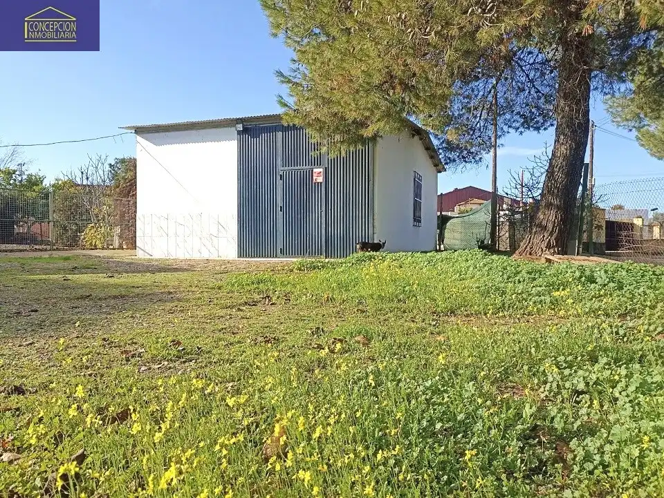 Villa avec piscine à vendre à Periurbano Este - Campiña, imagen 17