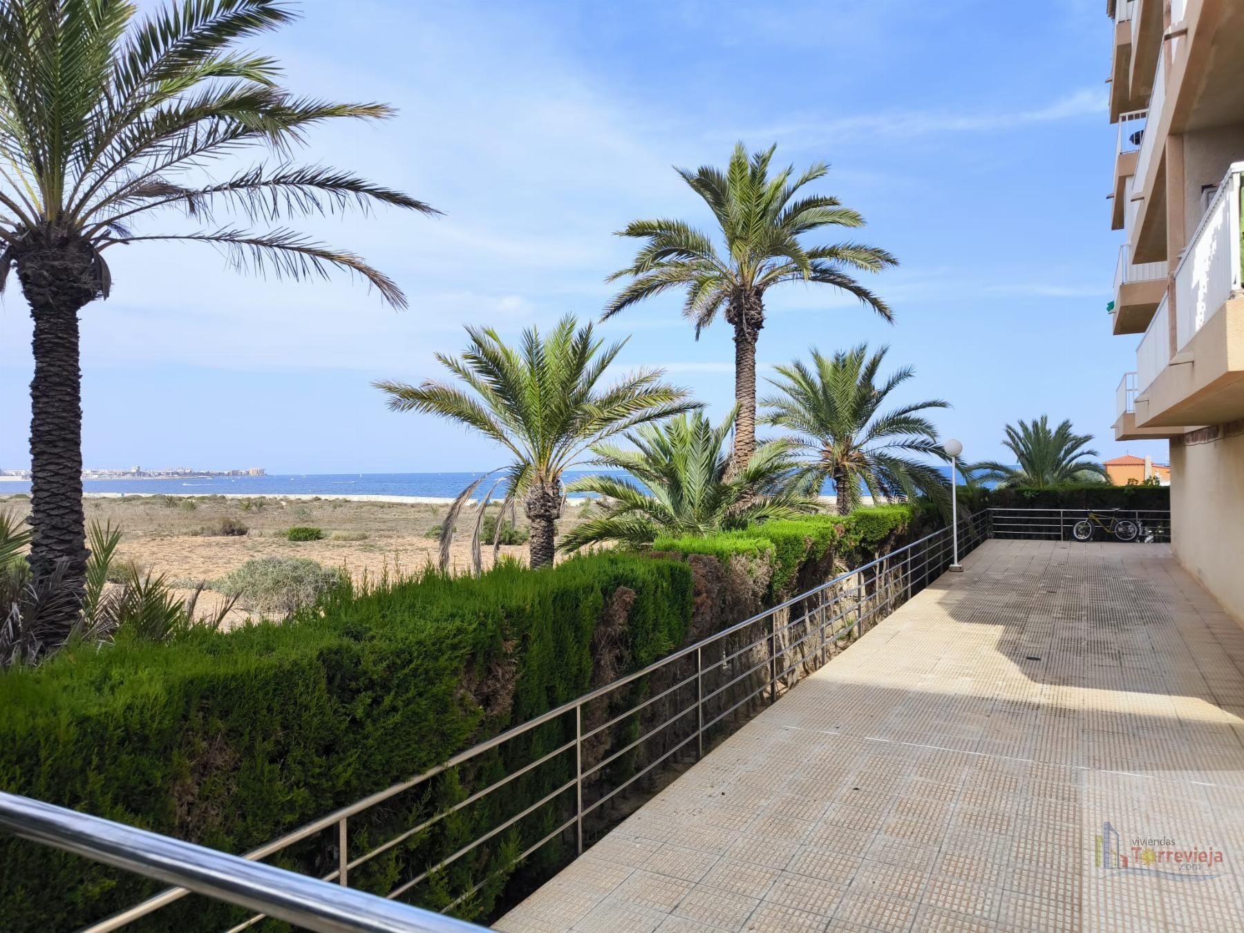Vista exterior de Apartamento en venta en Torrevieja con Terraza