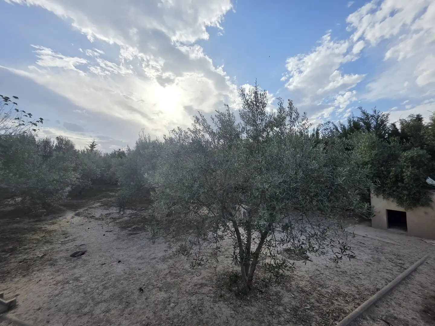 Maison avec piscine à vendre à Calasparra, imagen 24
