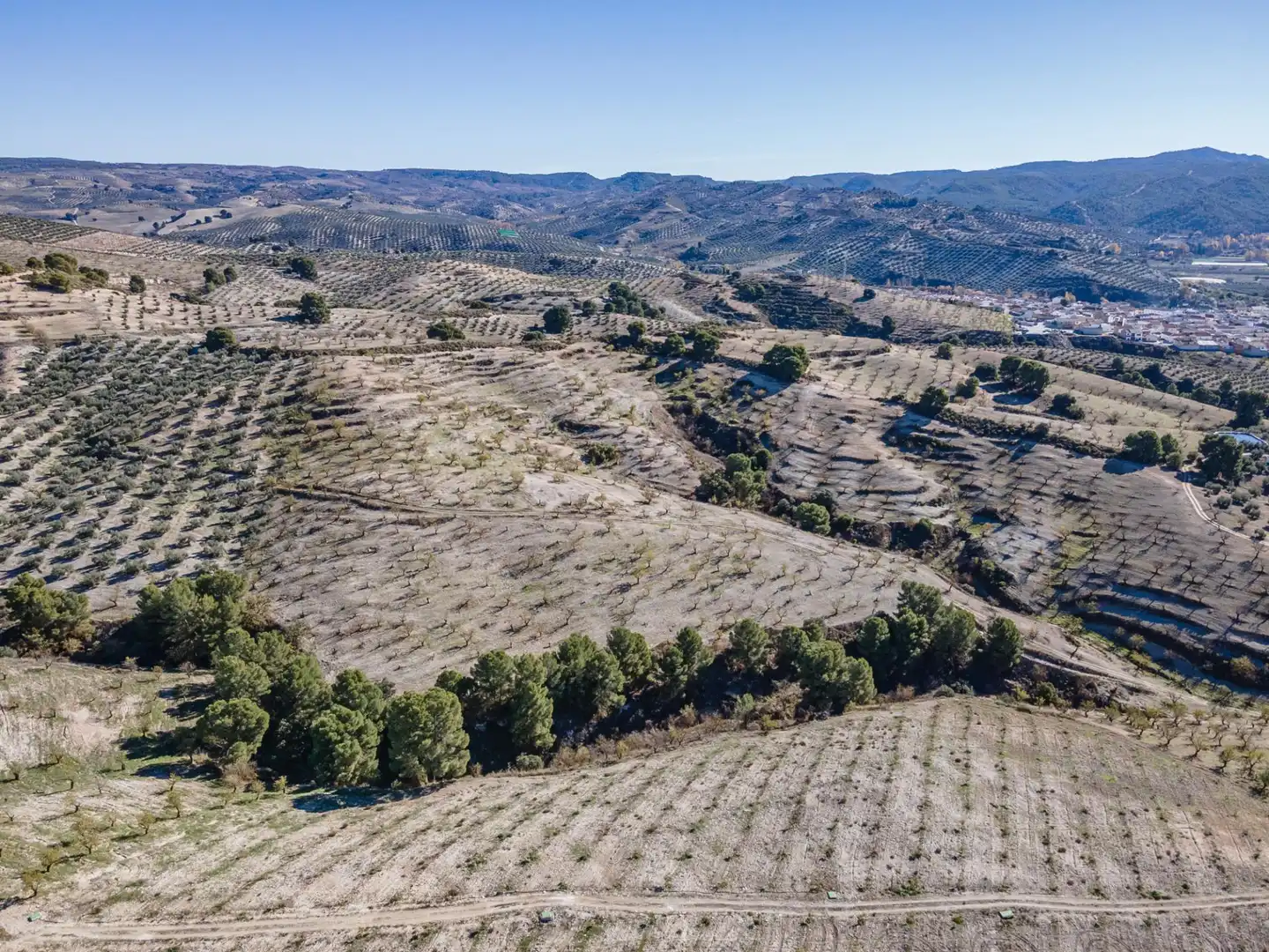 Terreni e lotti in vendita a Jayena 1, imagen 16