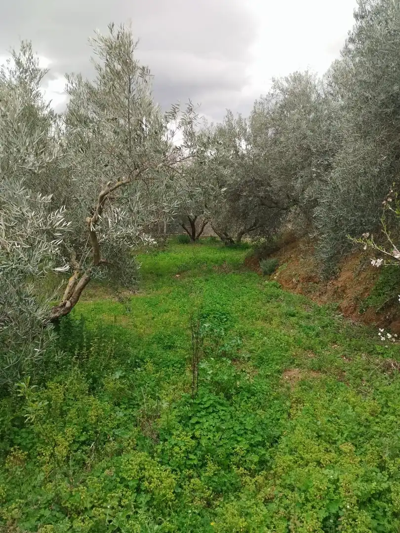 Terreni e lotti in vendita a Camino del cerro poligono 3 parcela, imagen 26