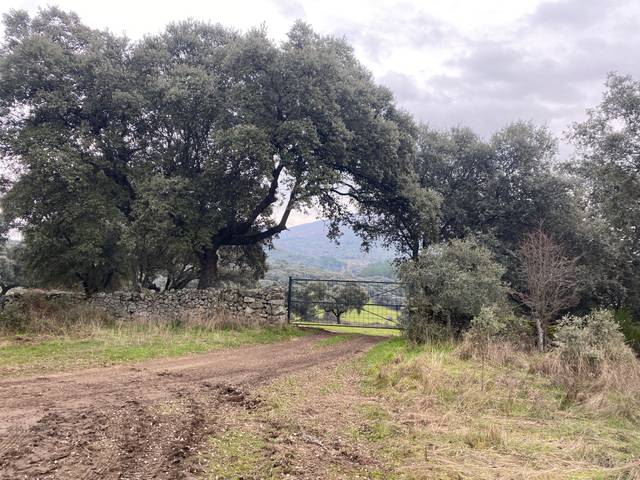 Terreno en Venta en Navamorcuende