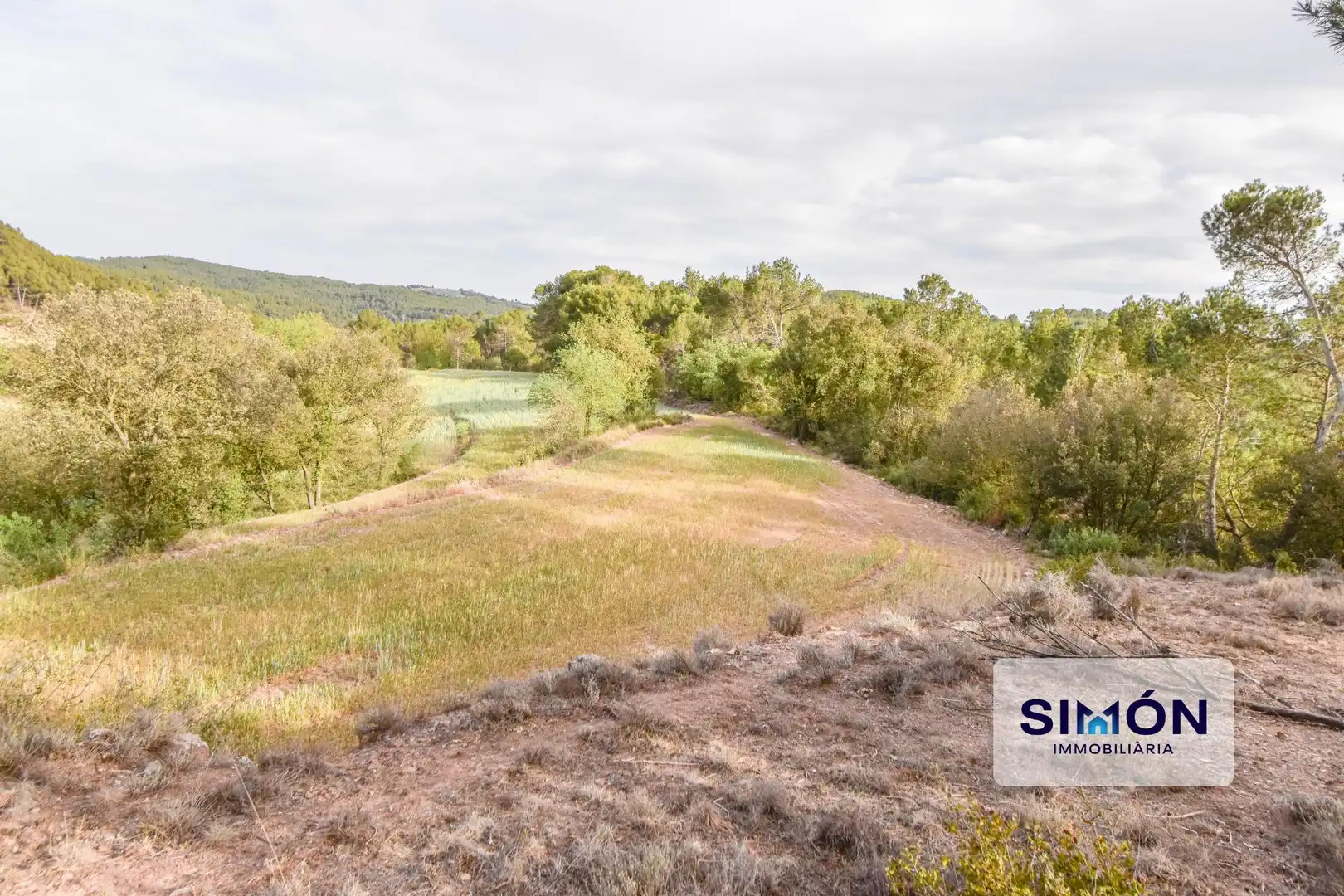 Finca rústica en venta en Veciana