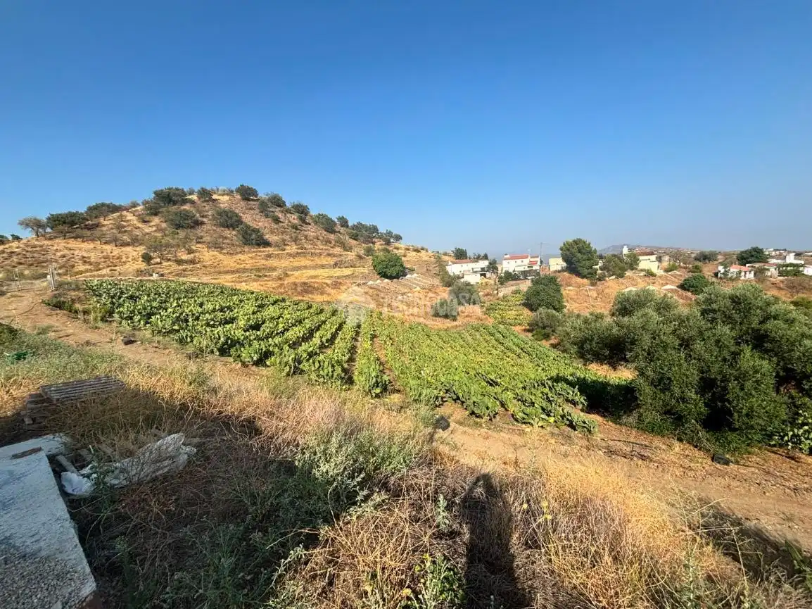 Terreny rústic en venda a Vélez-Málaga ciudad, imagen 6