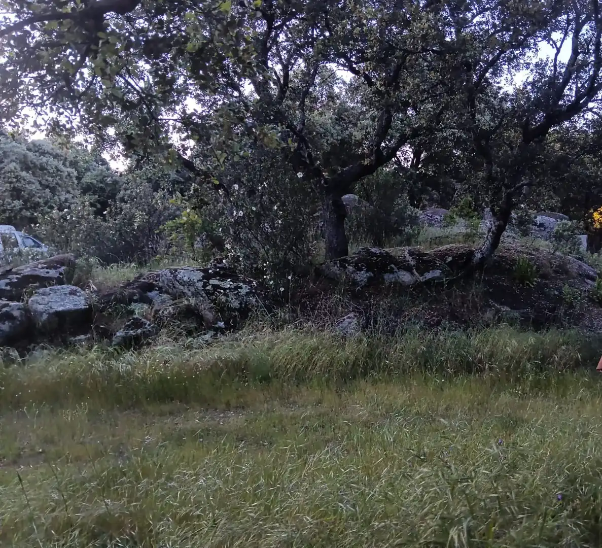Casa o xalet en venda en Valdemorillo