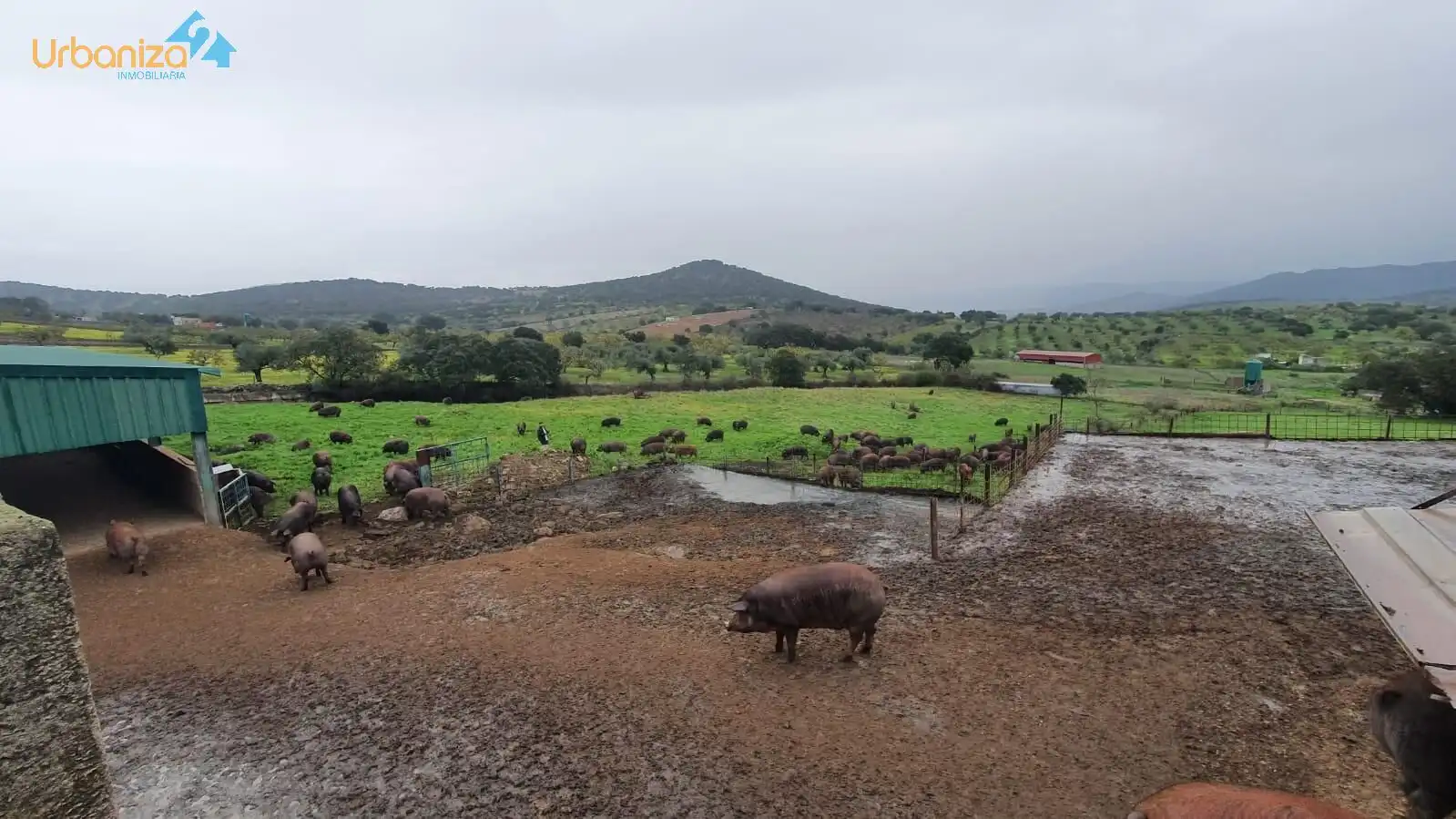 Exterior view of Land for sale in Salvaleón