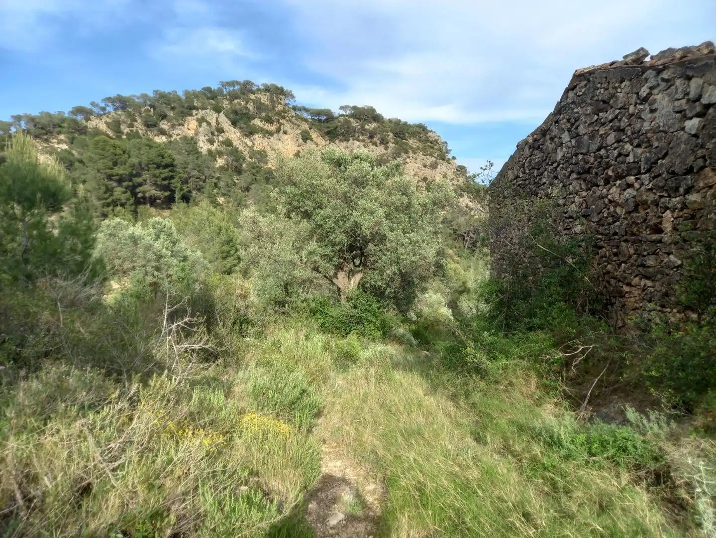 Rural land for sale in El Pinell de Brai, imagen 24