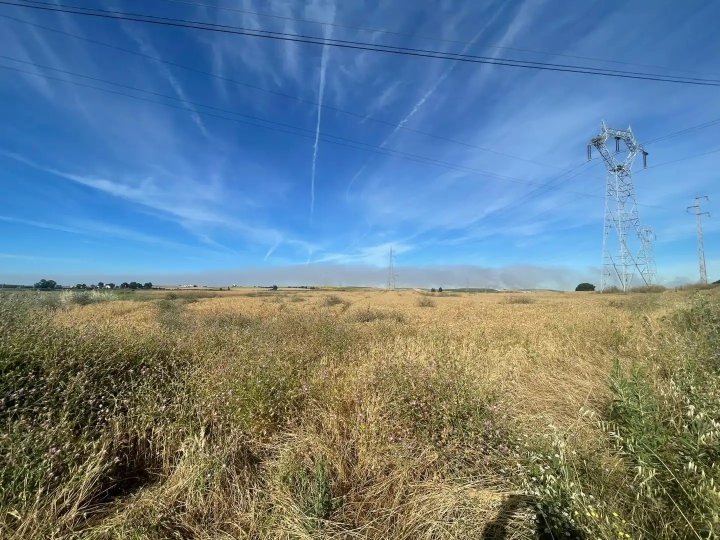 Land for sale in Huelva