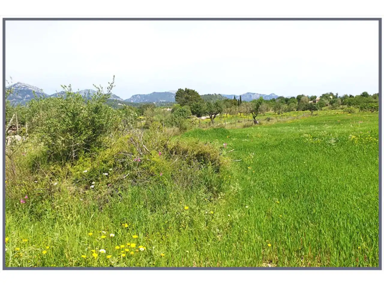 Terrain rustique à vendre à Poligono 12 Sn