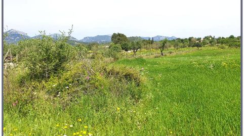 Terreno en venta en Biniamar