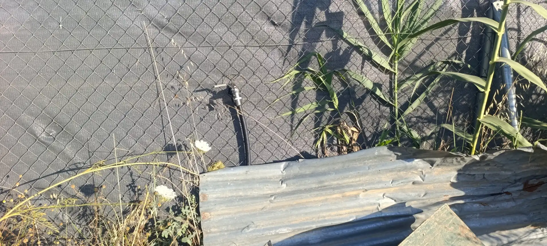 Jardí de Finca rústica en venda en Arahal