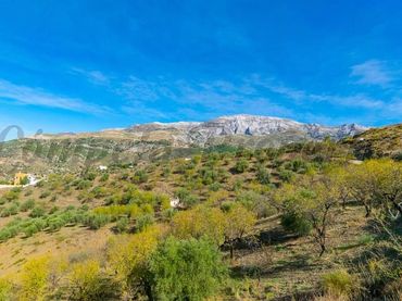 Terreno residenziale in vendita a Sedella