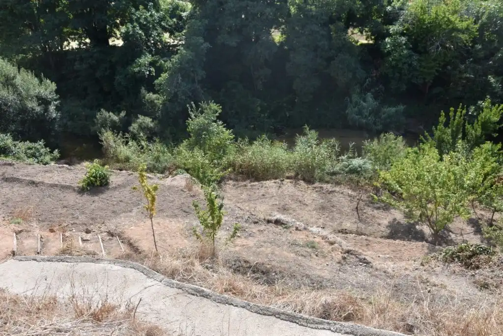 Terreni e lotti in vendita a Beceite, imagen 2