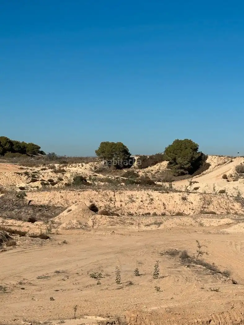Terrain rustique à vendre à Camino de Catral 31, imagen 31
