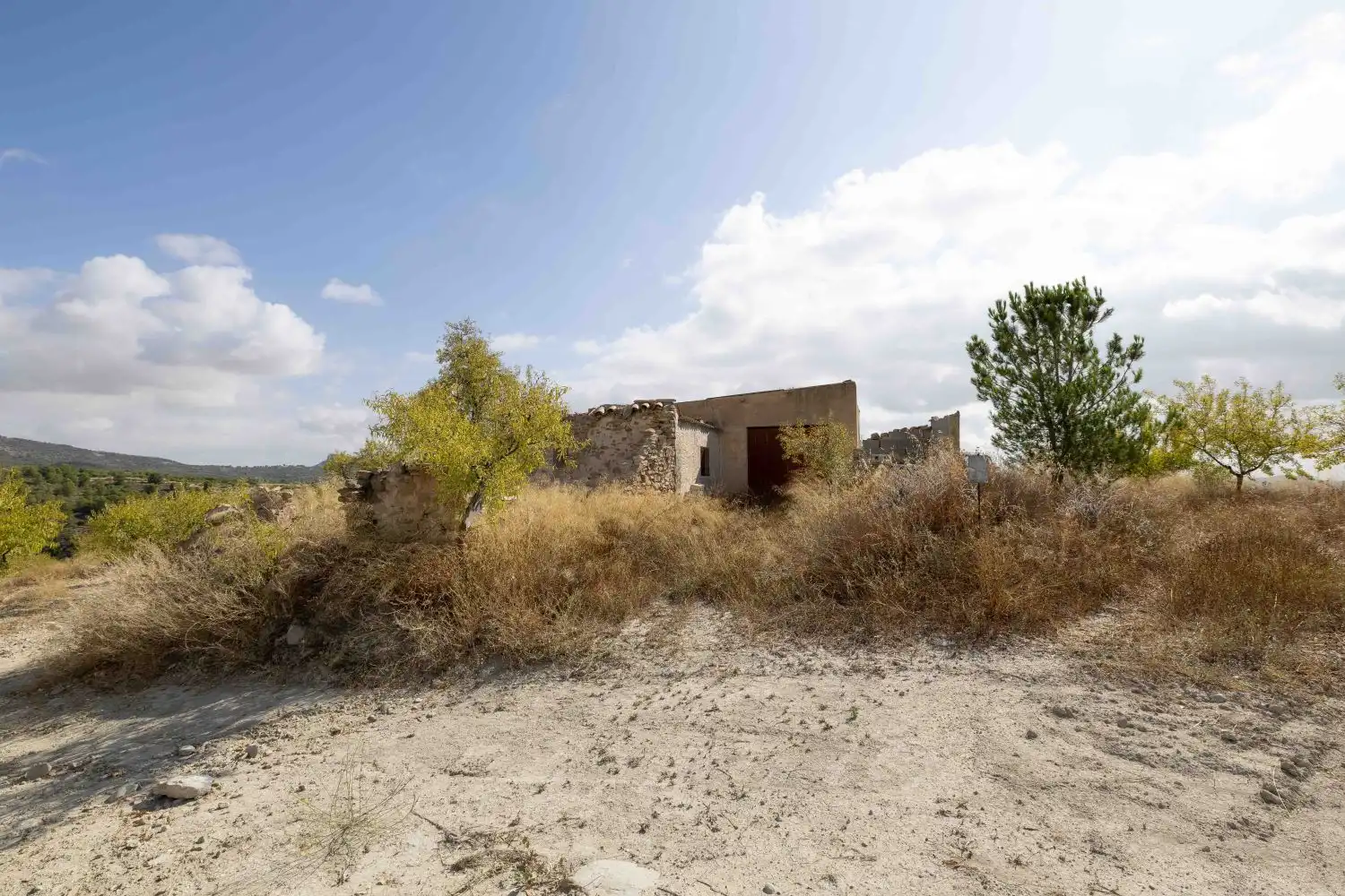 Finca rústica en venta en Mula