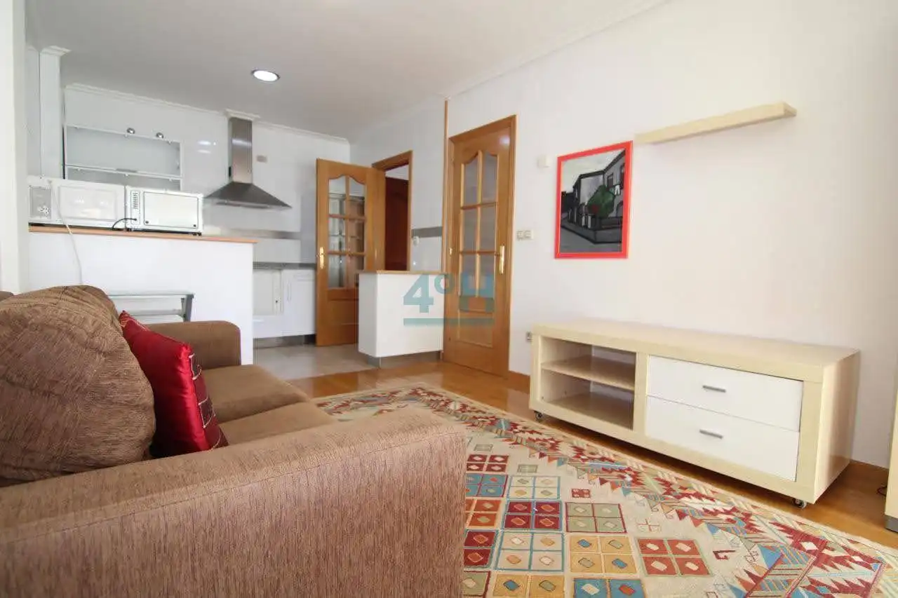 Living room of Study for rent in Ourense Capital   with Air Conditioner, Heating and Parquet flooring