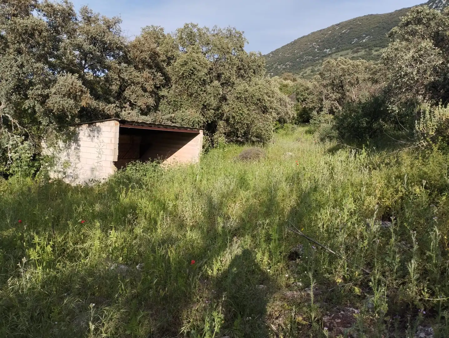 Terreno rustico in vendita a Calle Doña Mencía, imagen 10