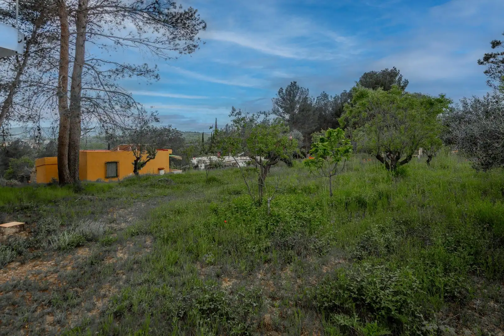 Country homes for sale in Jérica