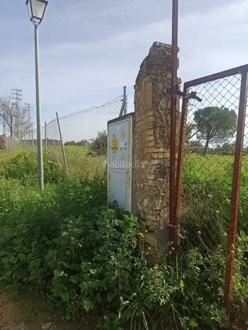 Terreny rústic en venda a Calle del Cañaveral 1, imagen 3