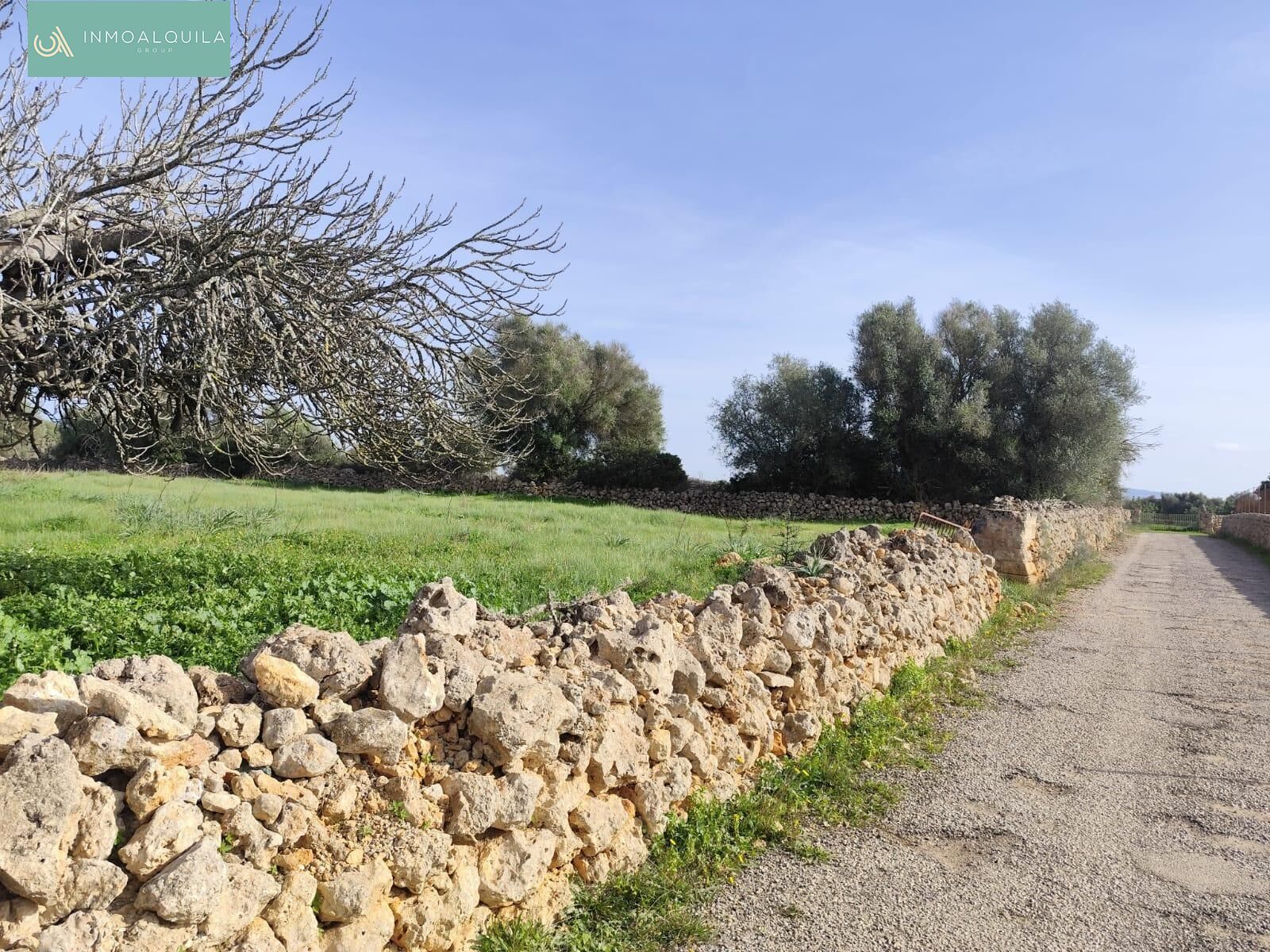 Finca rústica en venda en Santa Margalida