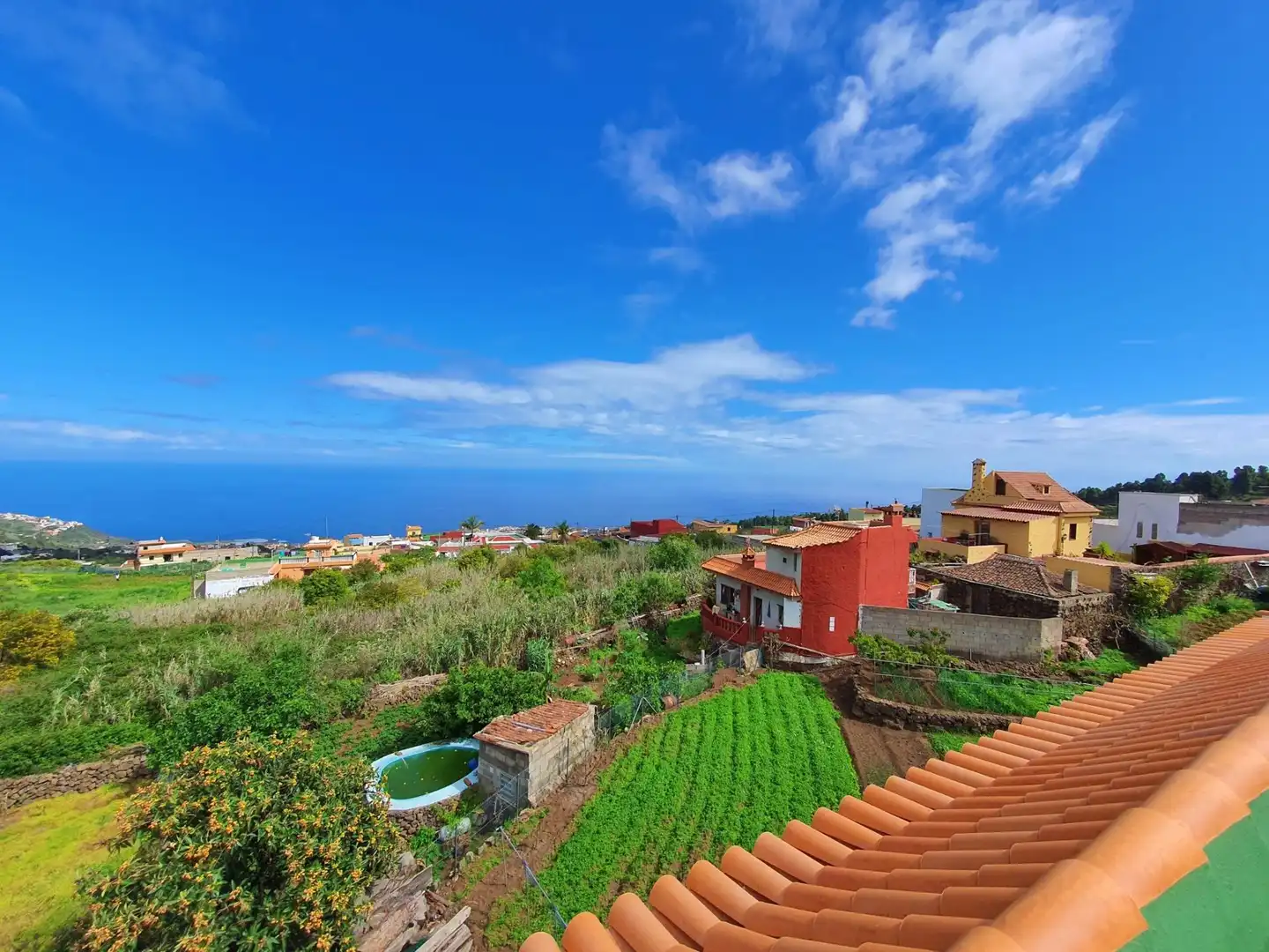 Vista exterior de Finca rústica en venta en Icod de los Vinos con Jardín privado, Terraza y Trastero