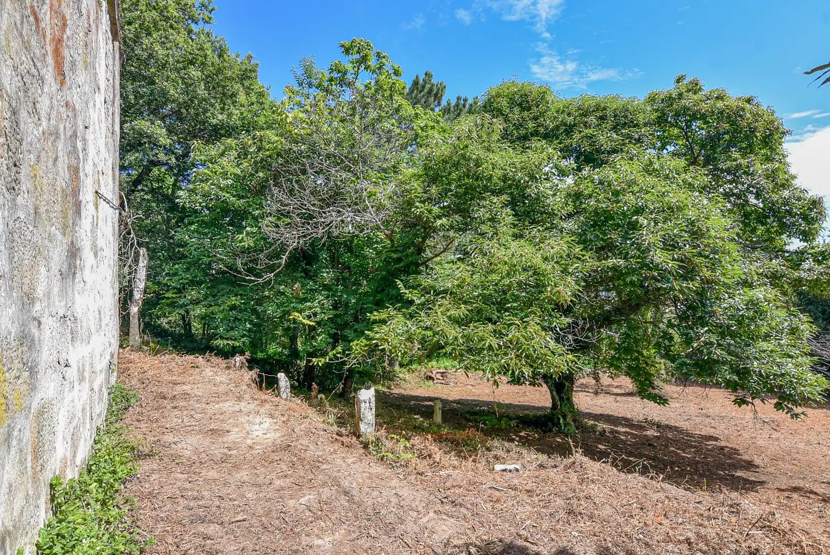 Terreni e lotti in vendita a CIDRAS-SAN XULIAN 15, imagen 14