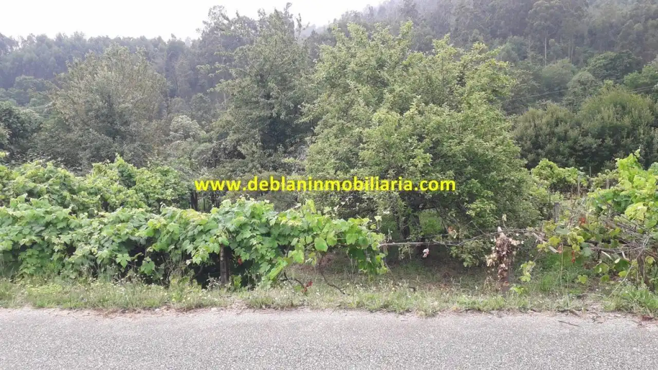 Rural land for sale in Arbo
