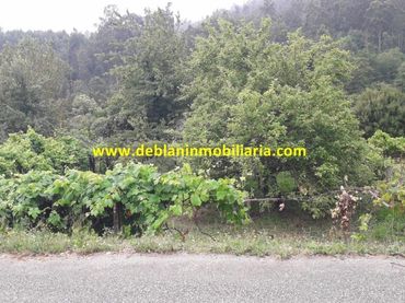 Terreno rústico en venta en Arbo