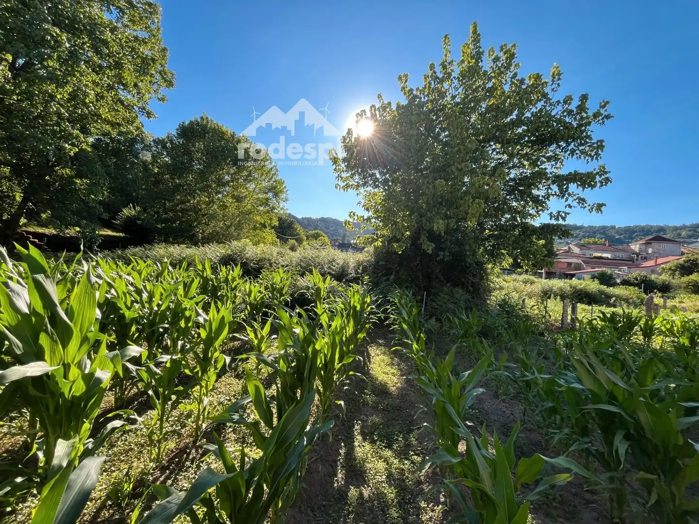 Adossat en venda a Leiro, imagen 9
