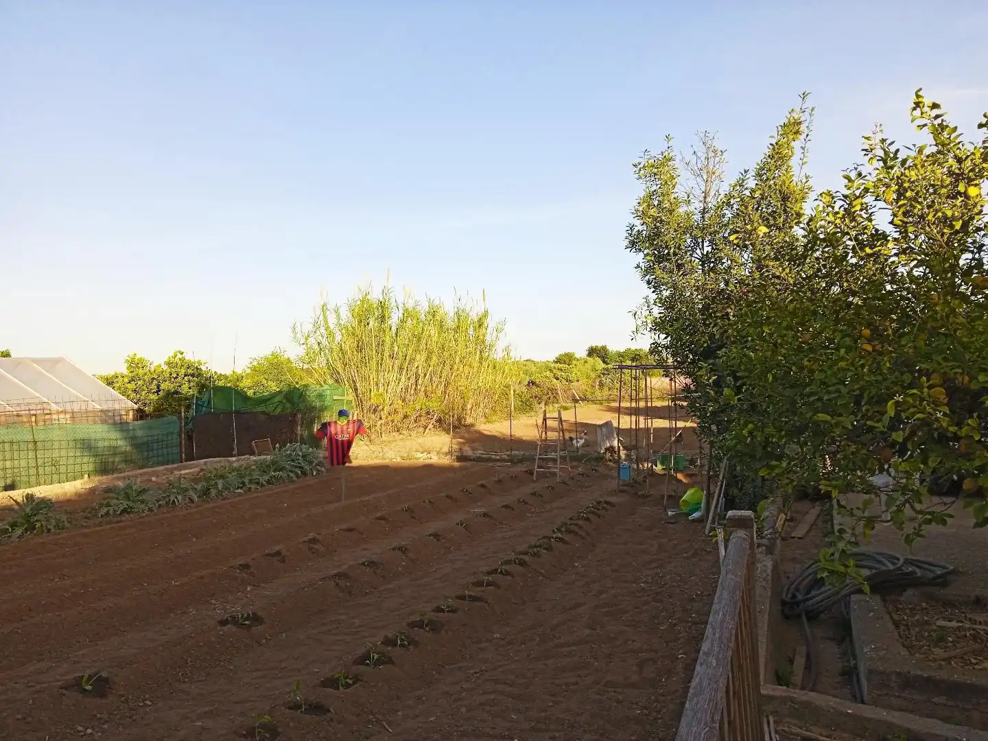 Casa o xalet en venda en Vilamarxant amb Terrassa, Traster i Piscina