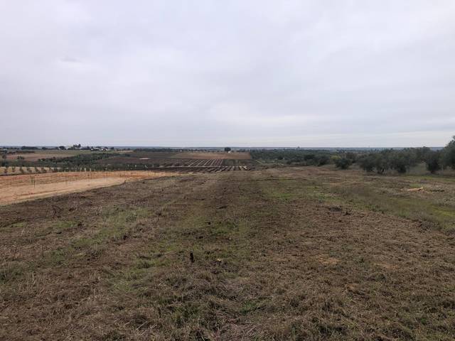 Terreno en Venta en Bollullos Par del Condado