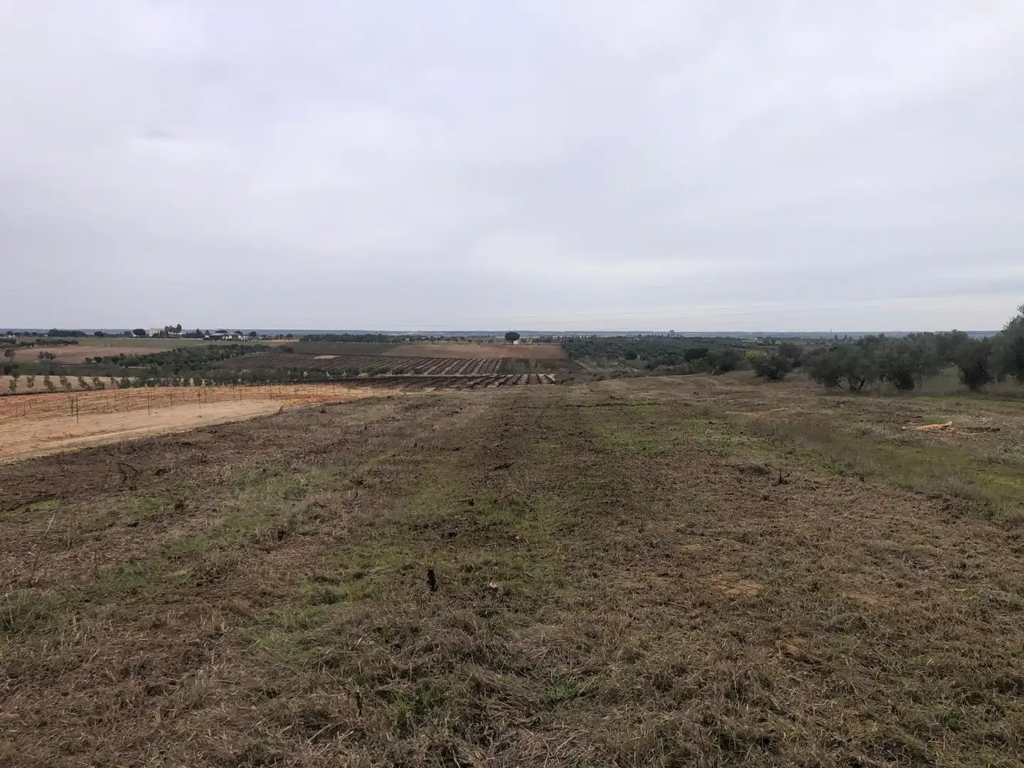 Terreny rústic en venda a CAMINO REMUÑINA