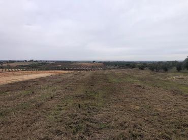 Rustikales Grundstück zum Verkauf in CAMINO REMUÑINA