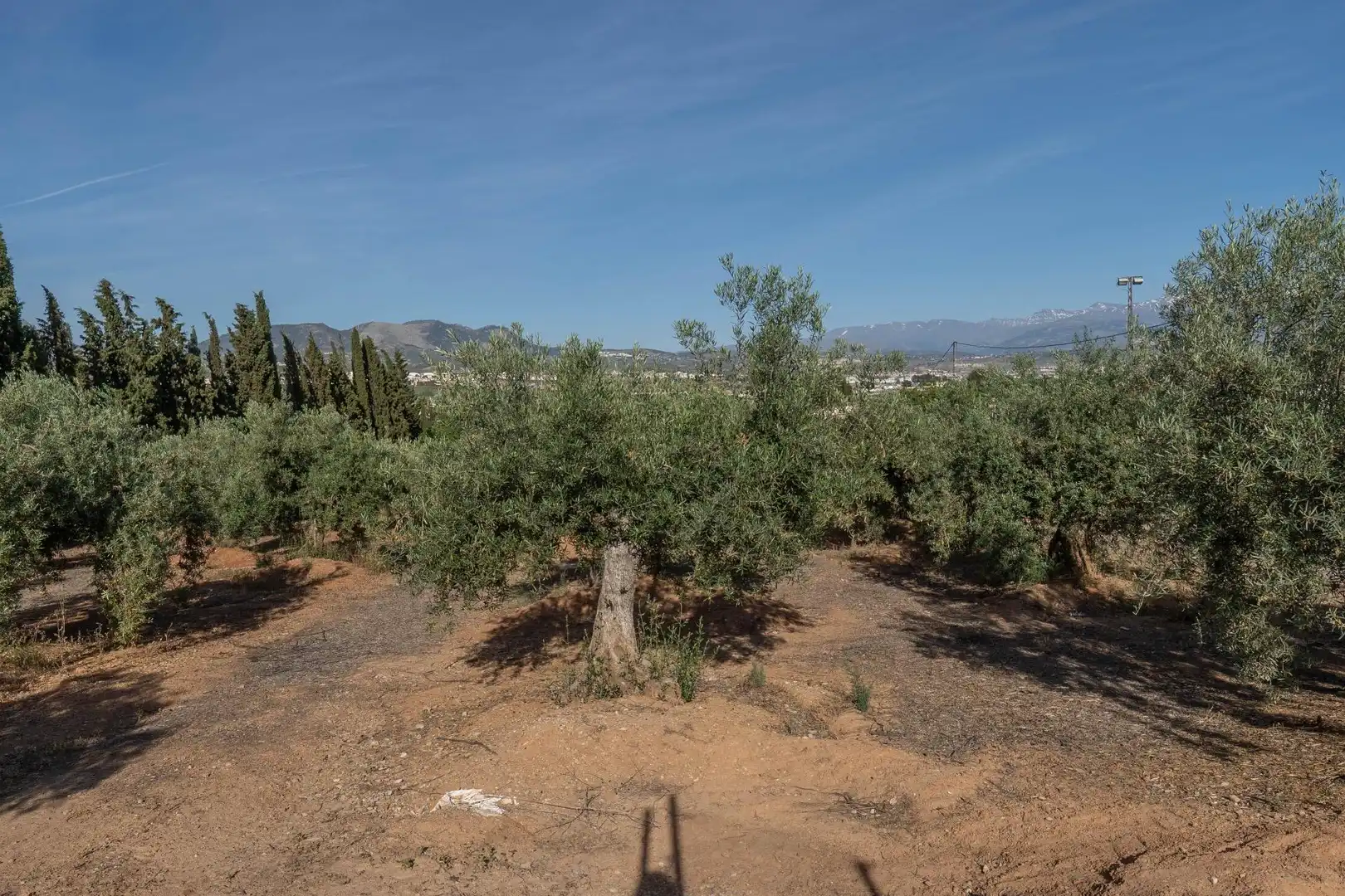 Terreni e lotti in vendita a Albolote, imagen 16