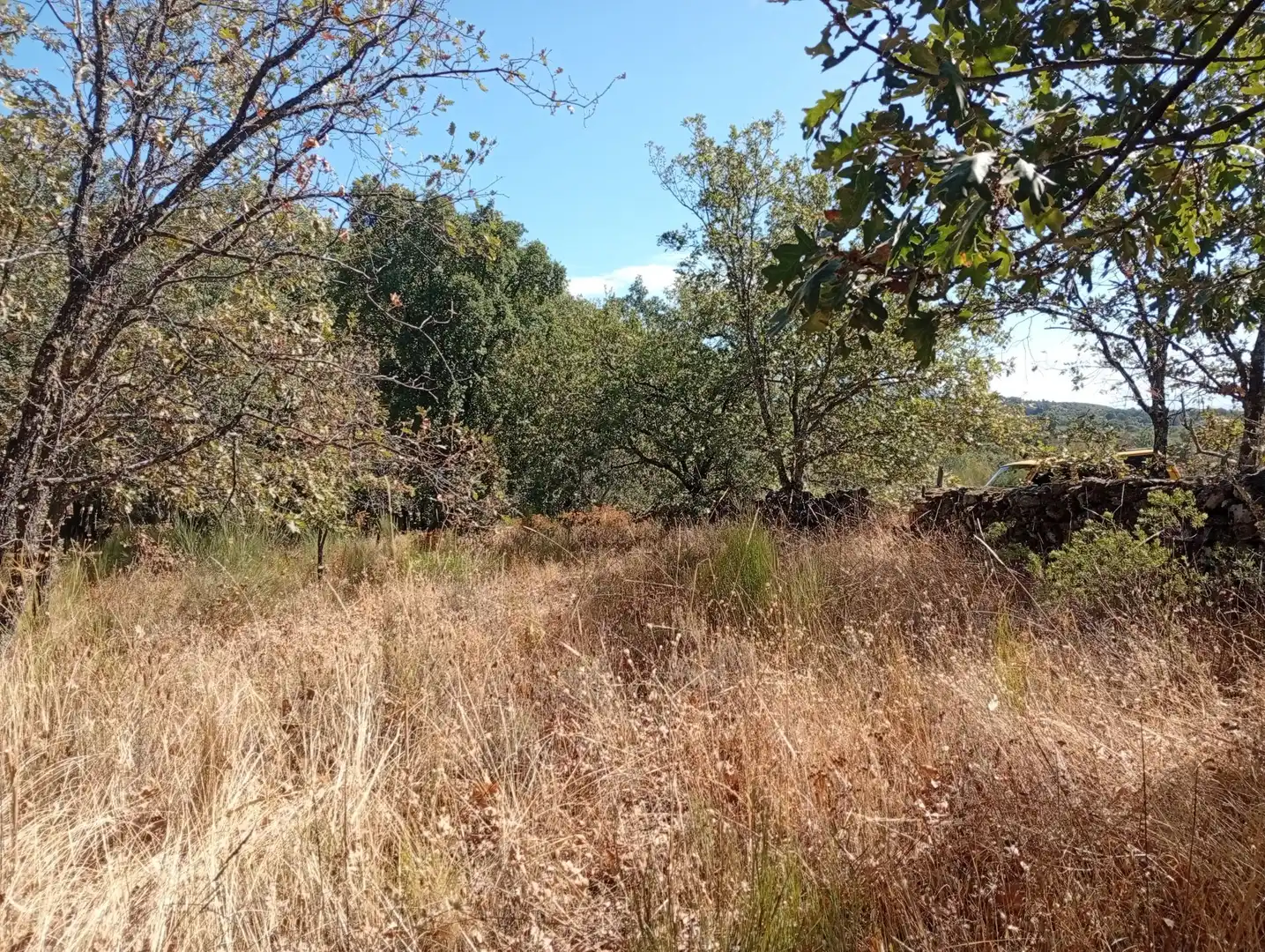 Terreni e lotti in vendita a Villanueva de la Vera, imagen 115