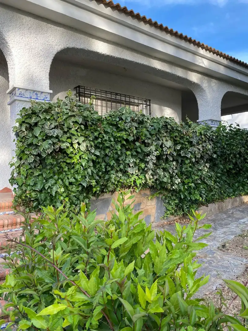 Vista exterior de Casa o xalet en venda en Arriate amb Aire condicionat, Calefacció i Jardí privat