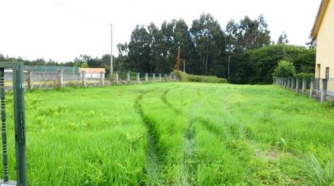 SE VENDEN DOS FINCAS EN OLEIROS CENTRO, UNA URBANIZABLE Y OTRA RUSTICA.