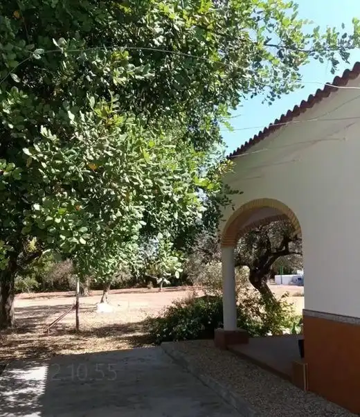 Garden of Houses for sale in Los Molares  with Air Conditioner, Private garden and Swimming Pool