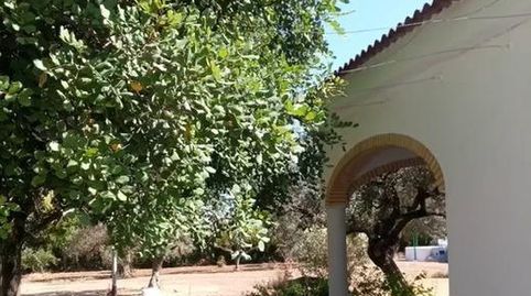 Foto 4 de Casa o chalet en venta en Los Molares, Sevilla
