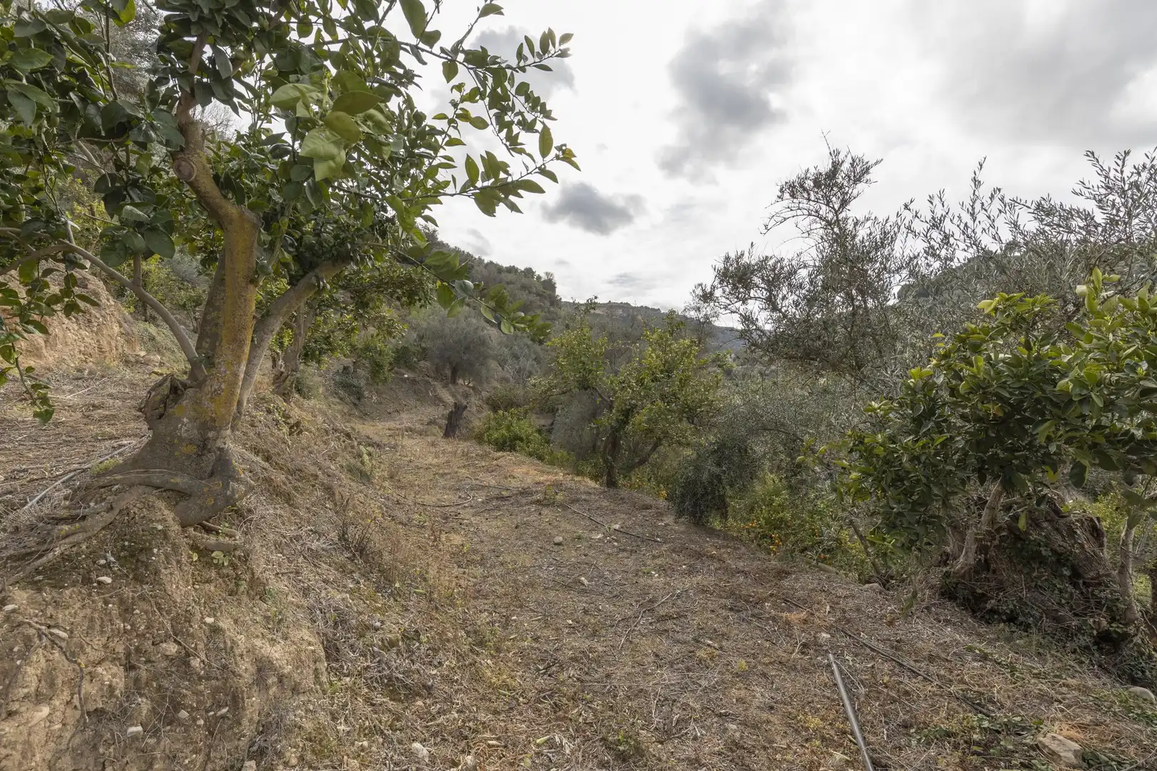 Finca rústica en venta en El Valle, Serón