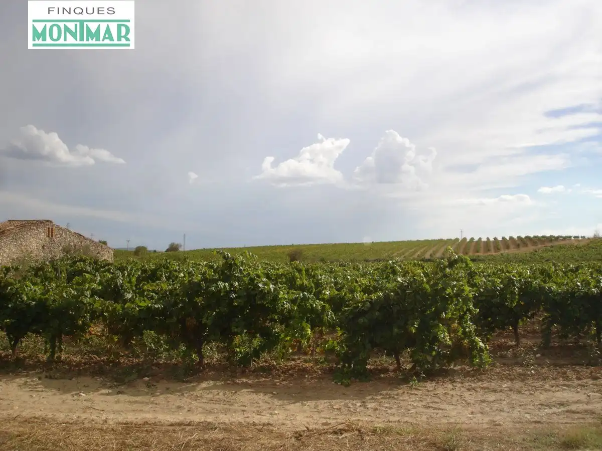 Finca rústica en venta en Castellví de la Marca