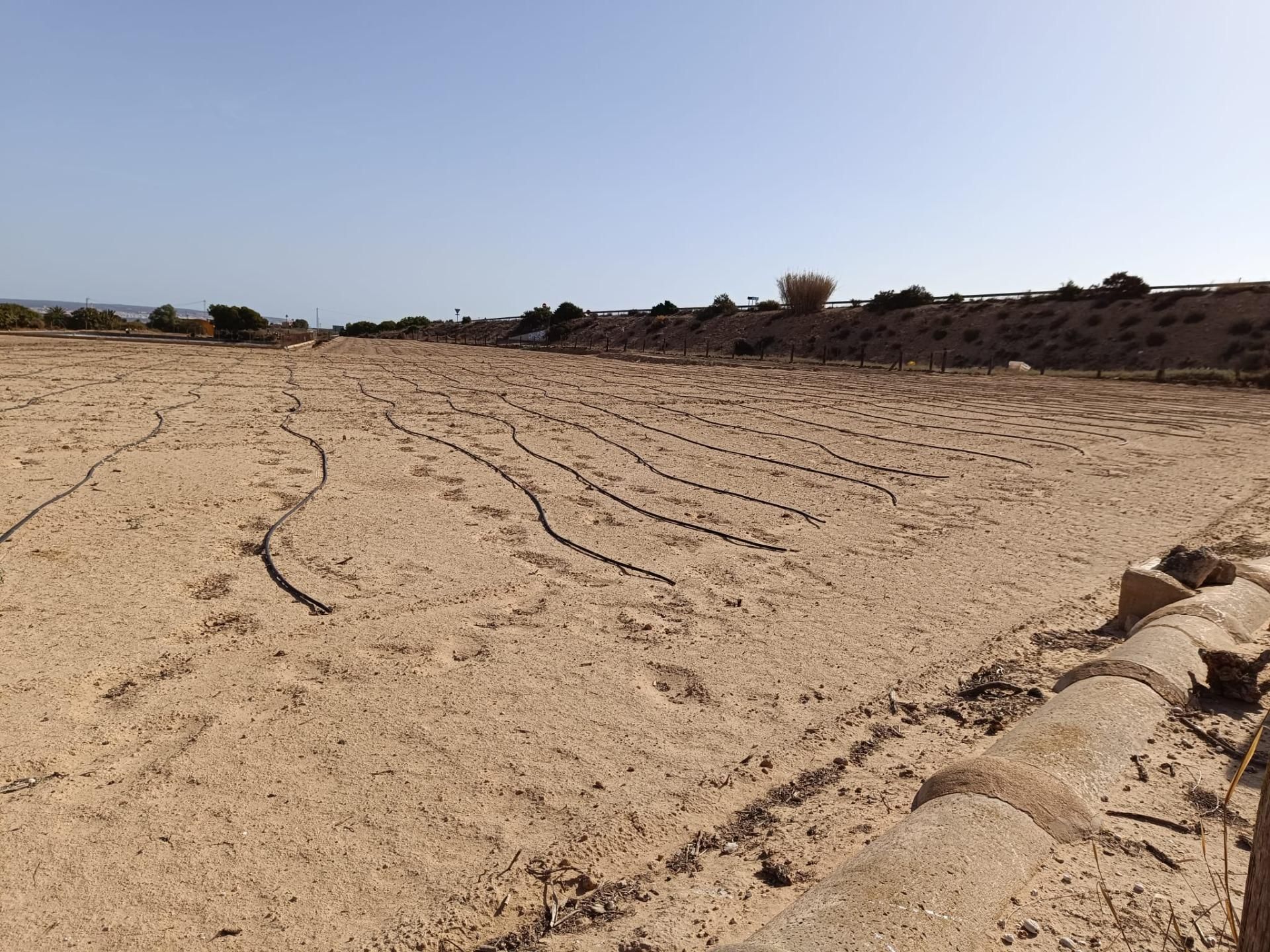 Land for sale in Elche / Elx