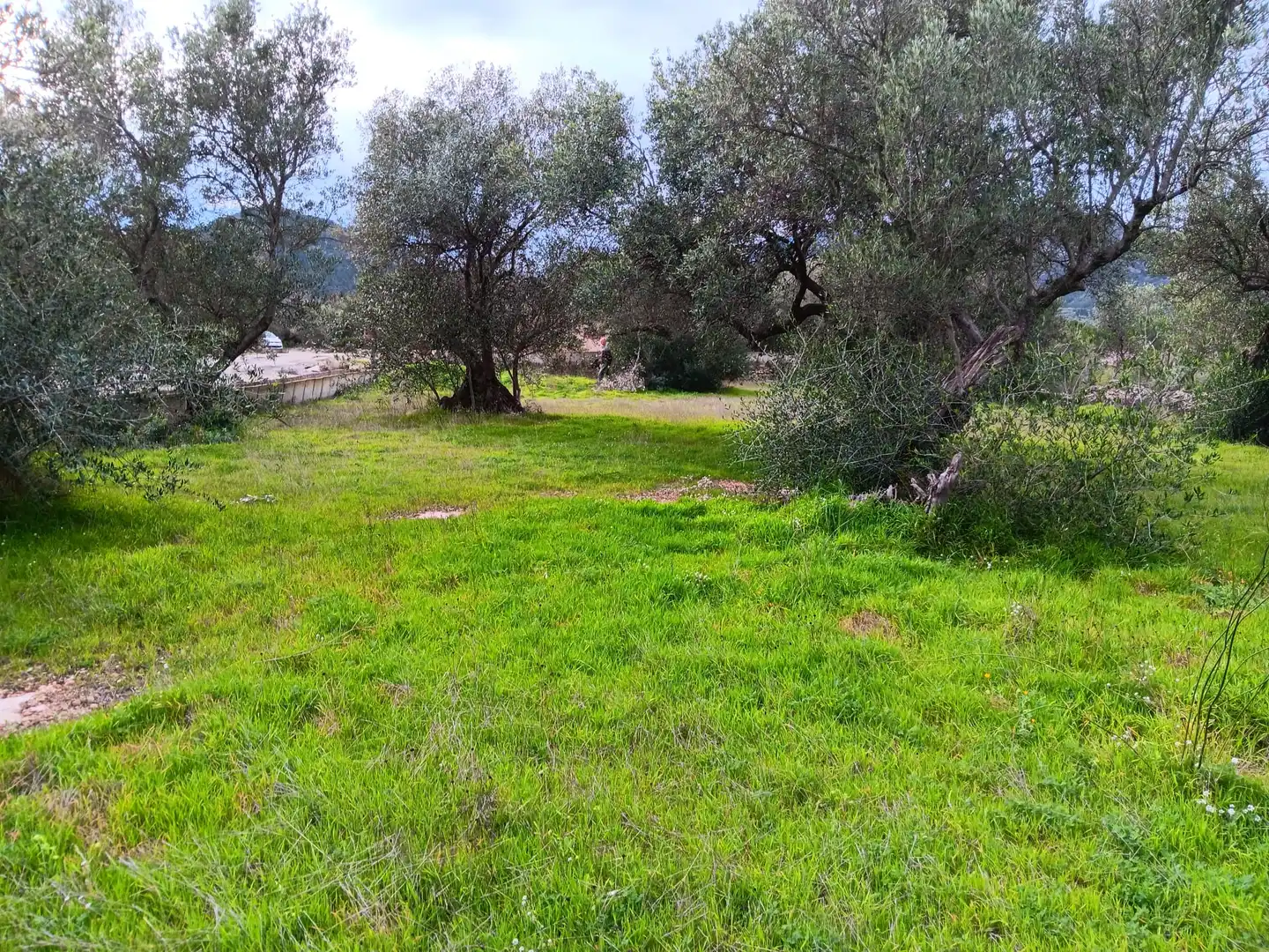 Casa o chalet en venta en Tortosa