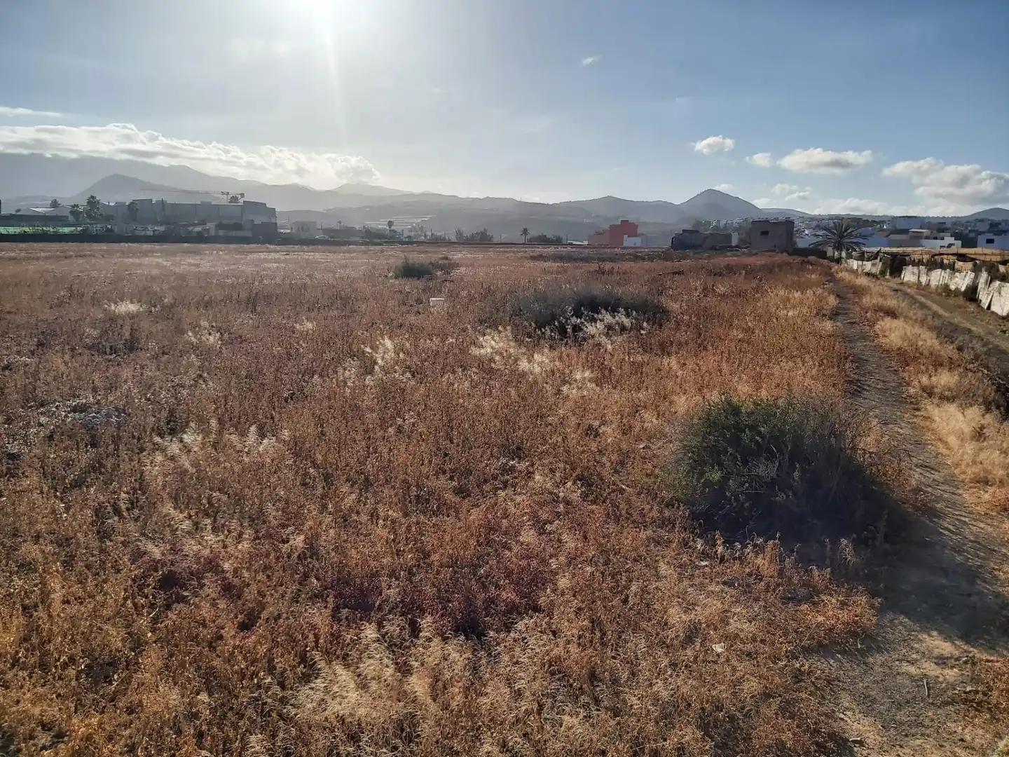FINCA RÚSTICA EN TELDE, imatge 3