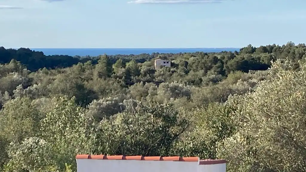 Finca rústica en venda a L'Ametlla de Mar pueblo