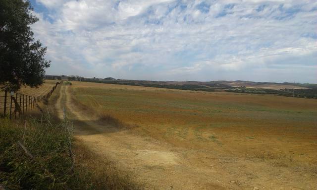 Terreno en Venta en Puntales - Zona Franca