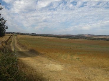 Rustikales Grundstück zum Verkauf in Puntales - Zona Franca