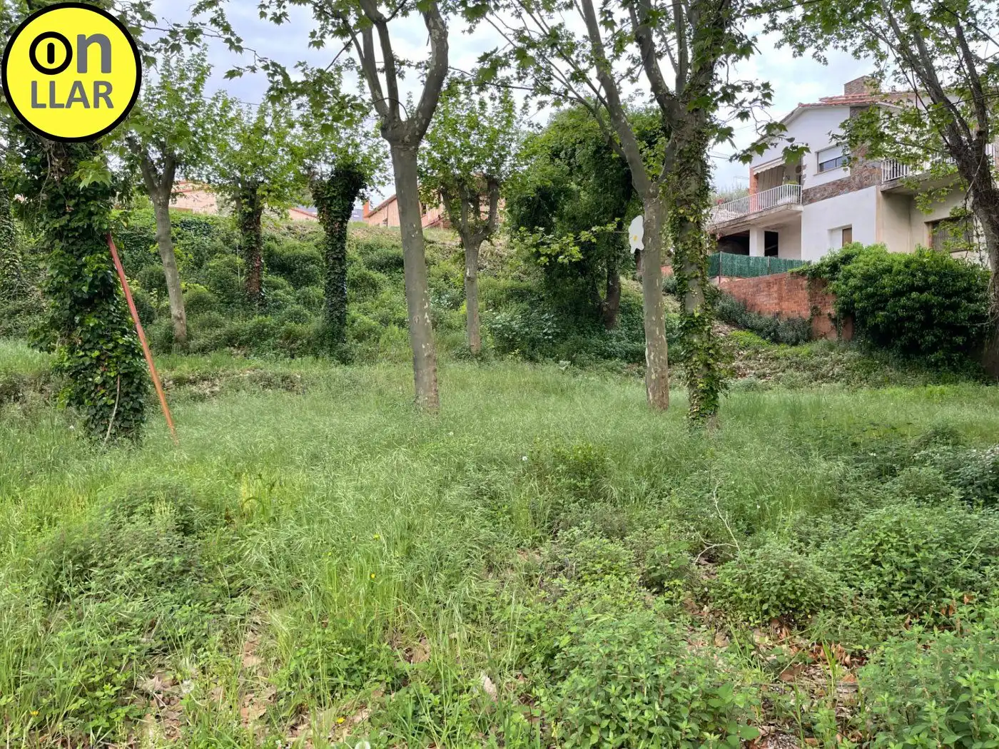 Residential land for sale in Calle Alzina, imagen 3